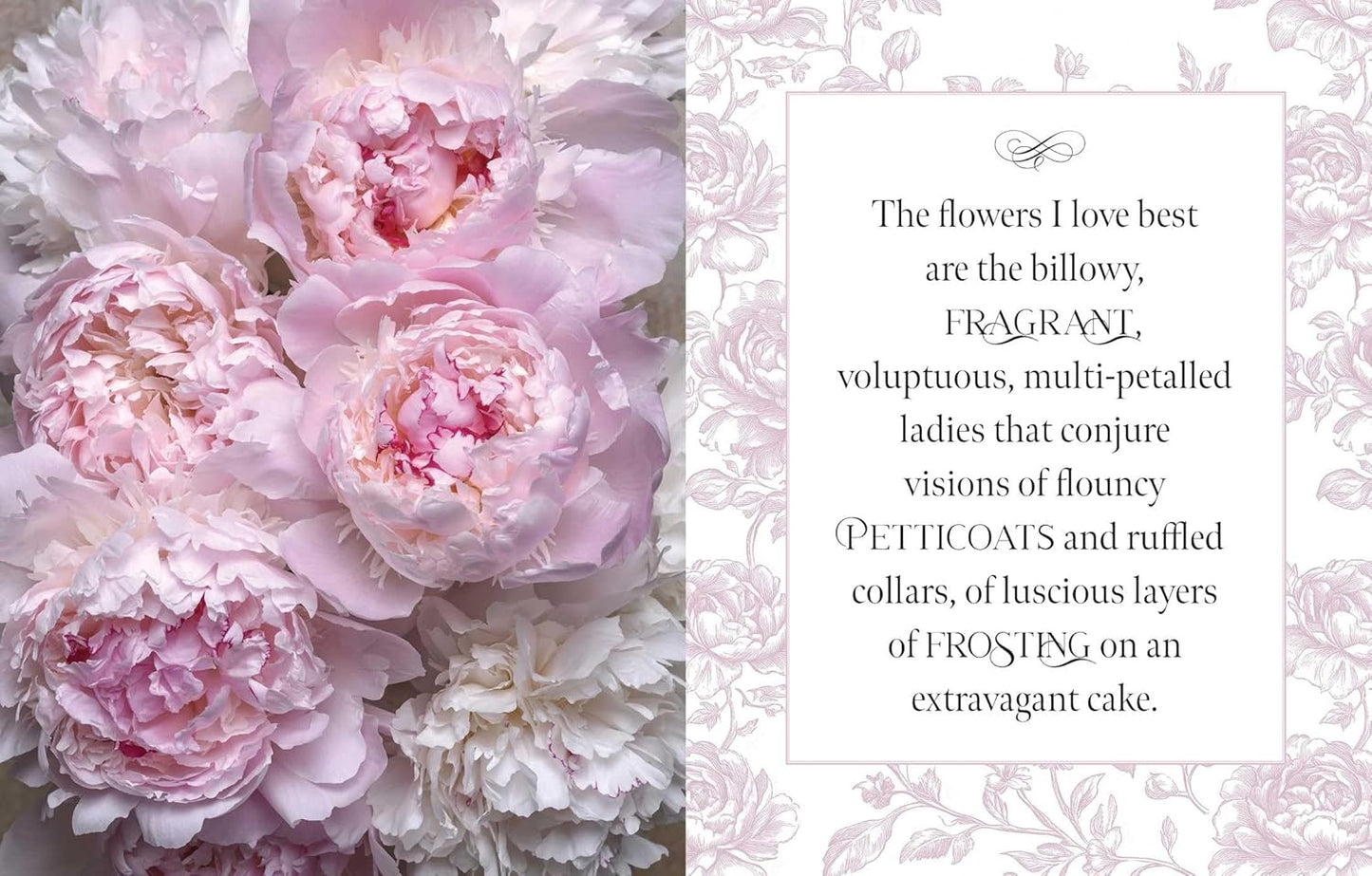 Beautiful Blooms - Findlay Rowe Designs