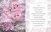 Beautiful Blooms - Findlay Rowe Designs
