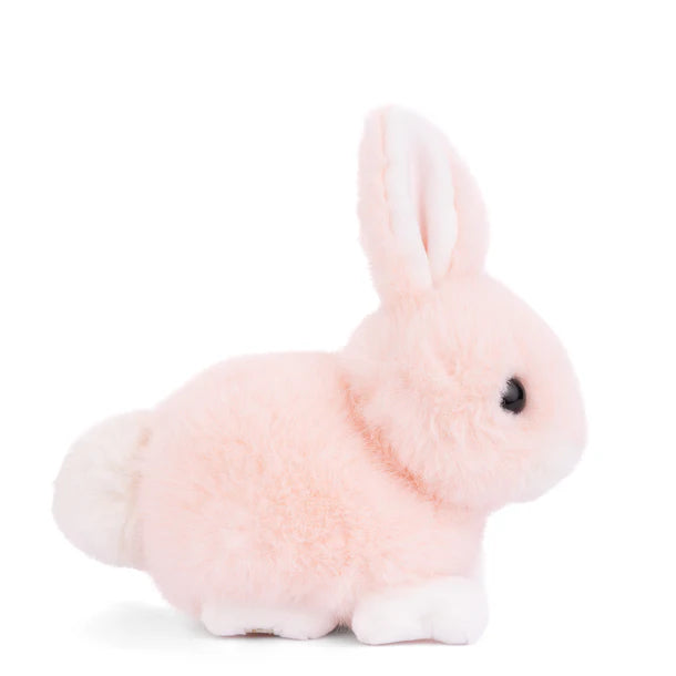 Bukowski Bears - Baby Bunny - Peach - Findlay Rowe Designs