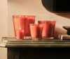 Nest - Candle - Pumpkin Chai Classic - 8.1oz