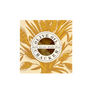 Bella Cucina - Olive Oil Dipping Crackers - Findlay Rowe Designs