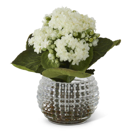 Floral - White Kalanchoe Pressed Glass Vase - 7.5 Inch - Findlay Rowe Designs