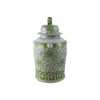 Ginger Jar - 18.25in - Food Dog - Findlay Rowe Designs