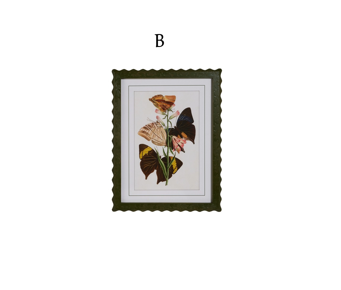 Raz Imports - Framed Art Print - Butterflies - Findlay Rowe Designs
