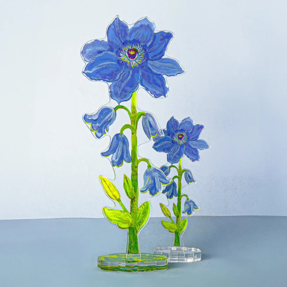 Kimberly Hodges - Acrylic Art - Large Flower - Purple Clematis - Findlay Rowe Designs