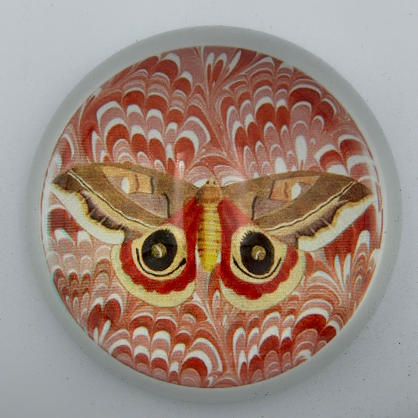 Decorative Glass Paperweights - Findlay Rowe Designs