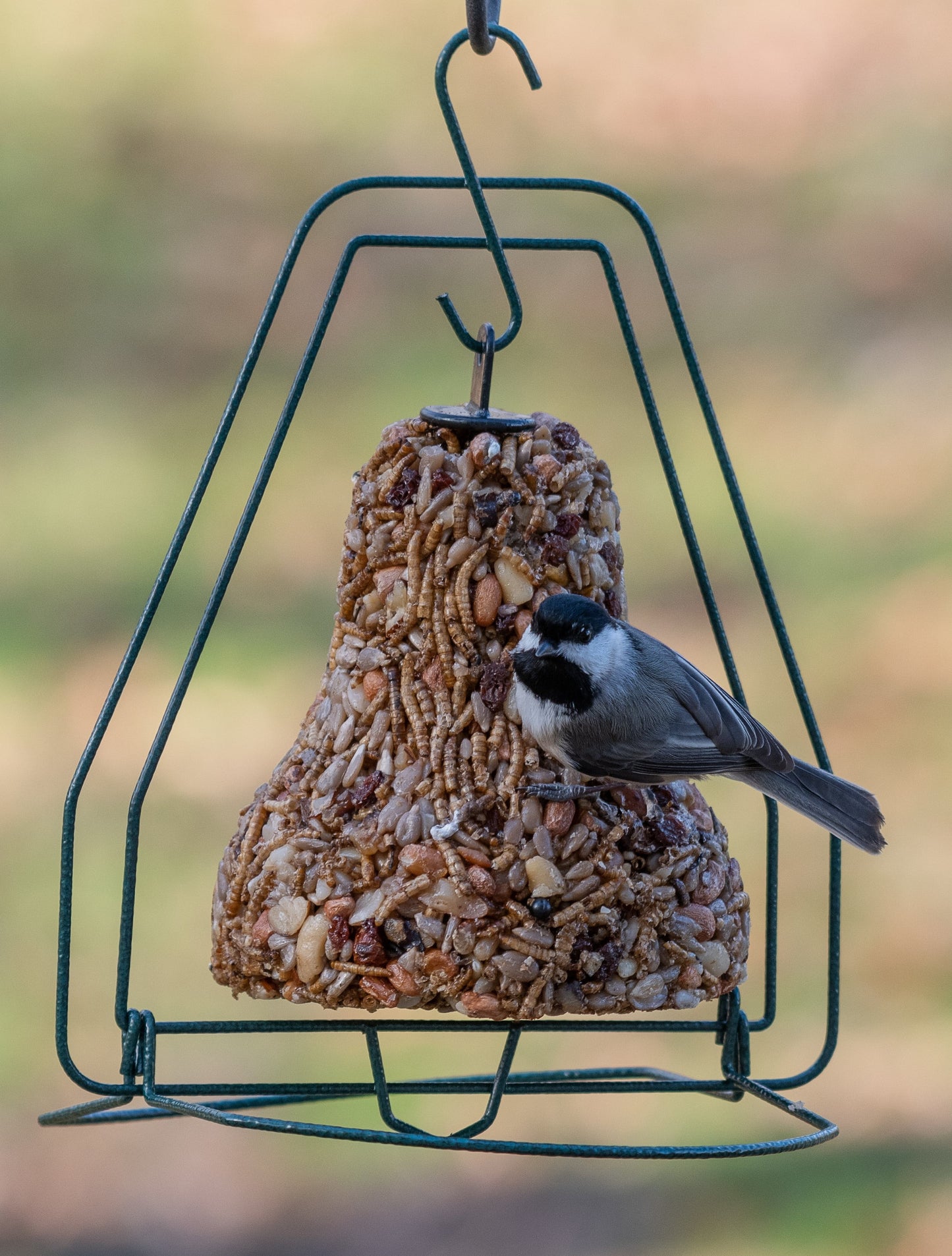 Mr.Bird - Seed Bell Hanger