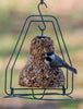 Mr.Bird - Seed Bell Hanger