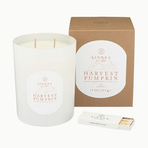 Linnea Lights - Candle - Harvest Pumpkin - 11oz - Findlay Rowe Designs