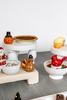 Mud Pie - Light-Up Sitter - Cardinal - Findlay Rowe Designs
