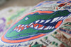 Catstudio - Collegiate Embroidered Pillow - Florida, University of - Findlay Rowe Designs