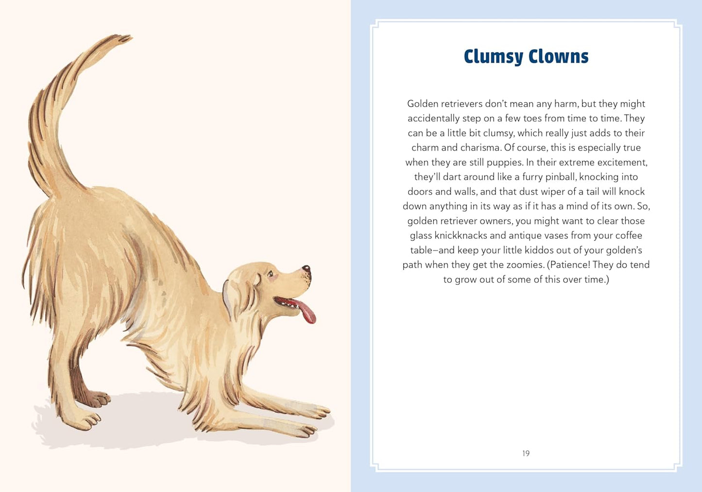 A Golden Life: What to Know and Love about the Golden Retriever - Findlay Rowe Designs