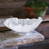 Beatriz Ball - VIDA Bloom Tall Medium Bowl (White) - Findlay Rowe Designs