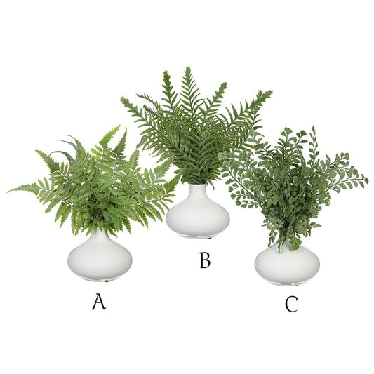 Ceramic Vase - 11.5in Fern - Findlay Rowe Designs