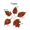 Autumn Allure  Enameled Leaf Plate - Findlay Rowe Designs