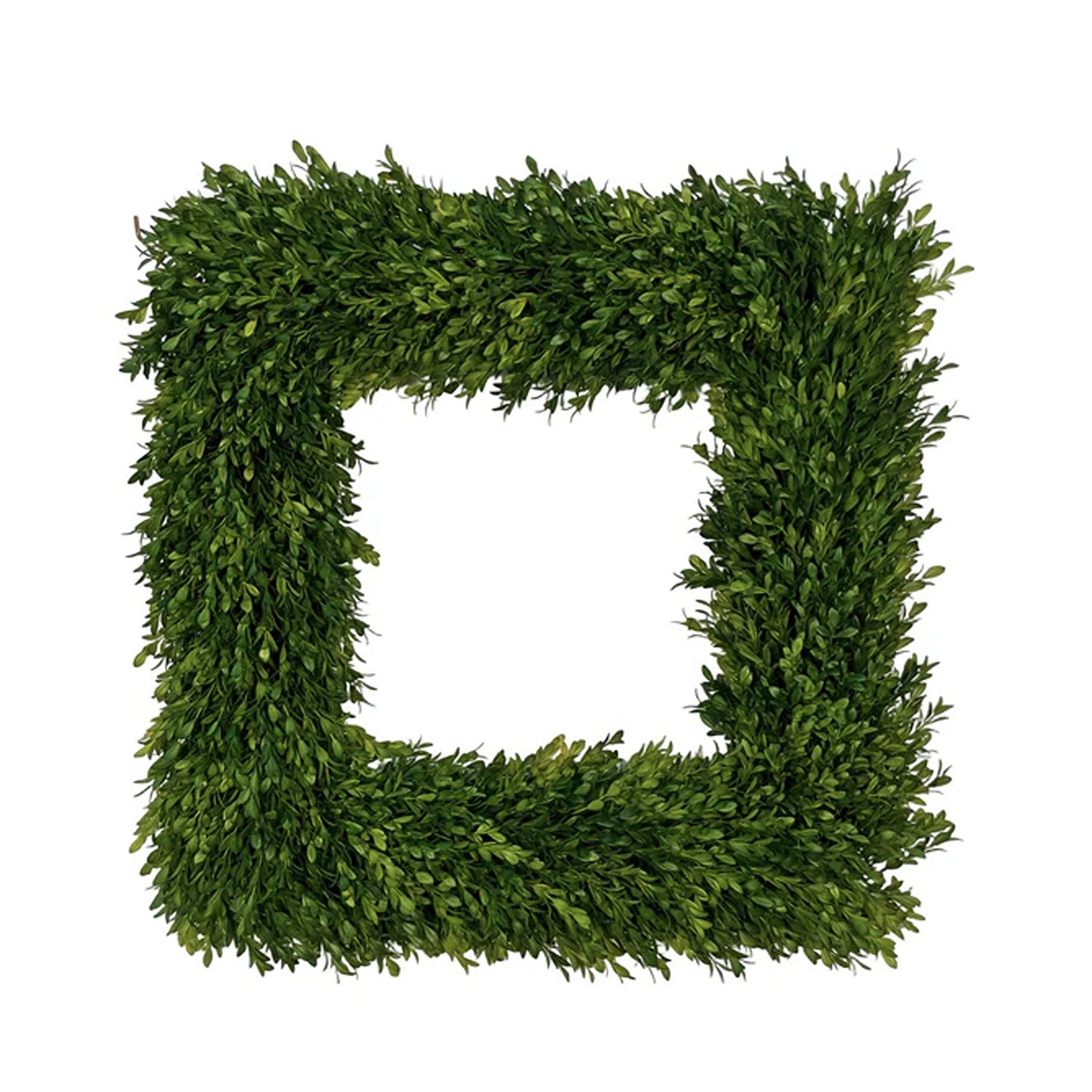 Fig & Dove - Boxwood Wreath - 24in - Square - Findlay Rowe Designs