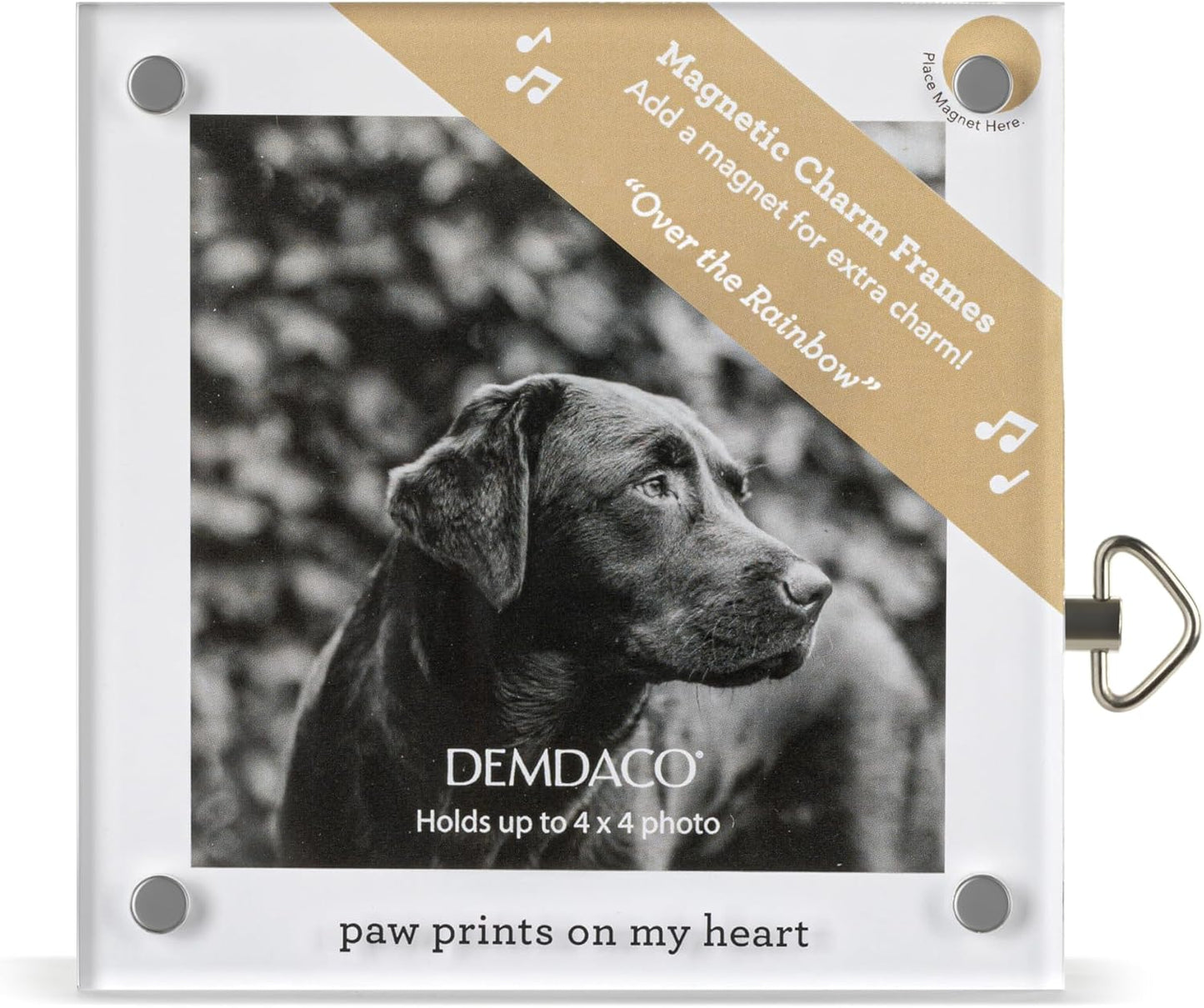 Demdaco - Frame - 4x4 - Paw Prints Acrylic Magnetic Musical - Findlay Rowe Designs