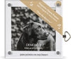 Demdaco - Frame - 4x4 - Paw Prints Acrylic Magnetic Musical - Findlay Rowe Designs