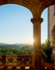 Biltmore House: The Interiors and Collections of George W. Vanderbilt - Findlay Rowe Designs