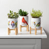 Mini Planter - Hummers on a Wire - Dean Crouser - Findlay Rowe Designs