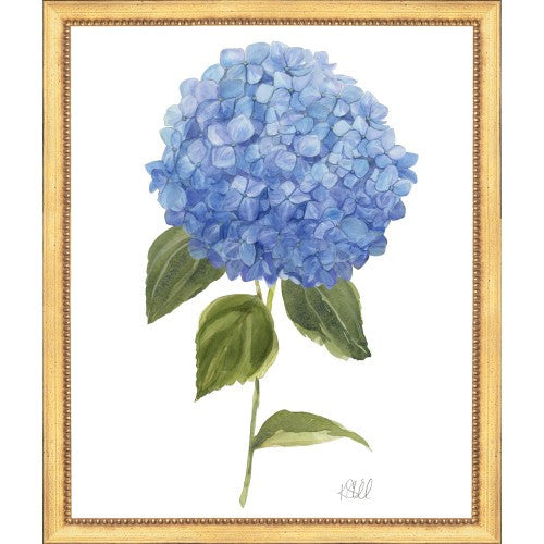Framed Print - Hydrangea Bloom 22x26 - Kate Sherrill