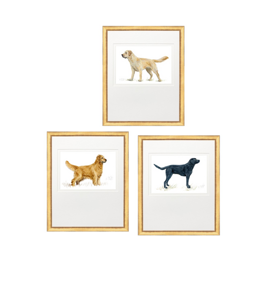 Framed Print - Hunting Dog - Kate Sherrill