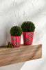 Mud Pie - Boxwood Tartan Pots