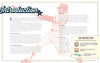 A Kids' Guide to the National Baseball Hall of Fame: The Greatest Players from Hank Aaron to Derek Jeter to Cy Young - Findlay Rowe Designs