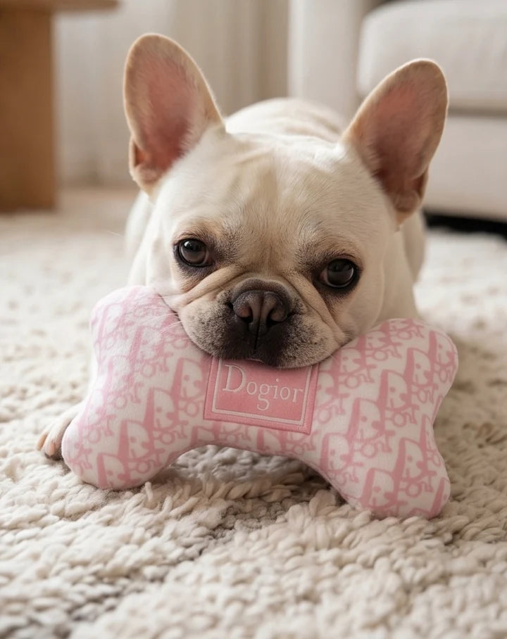 Haute Diggigty Dog - Pink Dogior Bone