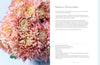Chrysanthemums Beautiful Varieties for Home and Garden - Findlay Rowe Designs