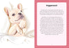 A Frenchie Life: What to Know and Love about the French Bulldog - Findlay Rowe Designs