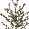 Allstate Floral - 21" Snowed Berry Spray  Red - Findlay Rowe Designs