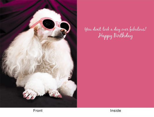 Greeting Card - Fabulous Birthday Poodle - Findlay Rowe Designs