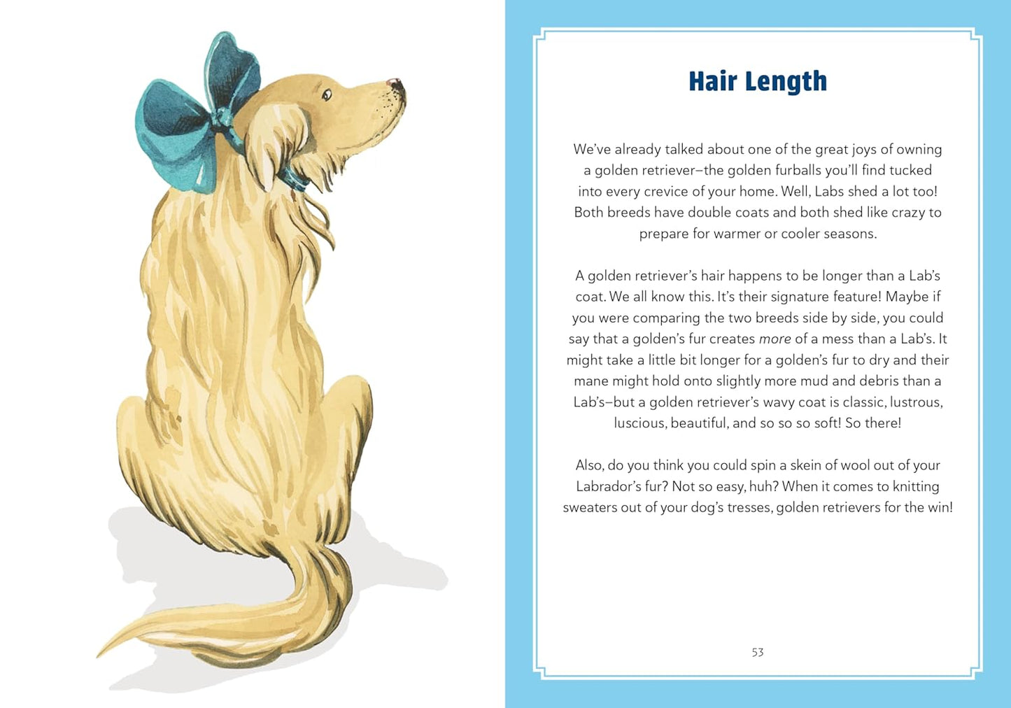 A Golden Life: What to Know and Love about the Golden Retriever - Findlay Rowe Designs