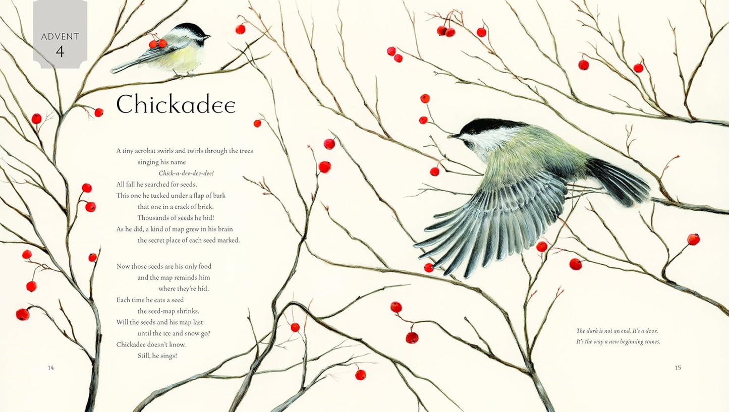 All Creation Waits - Children's Edition Advent Book