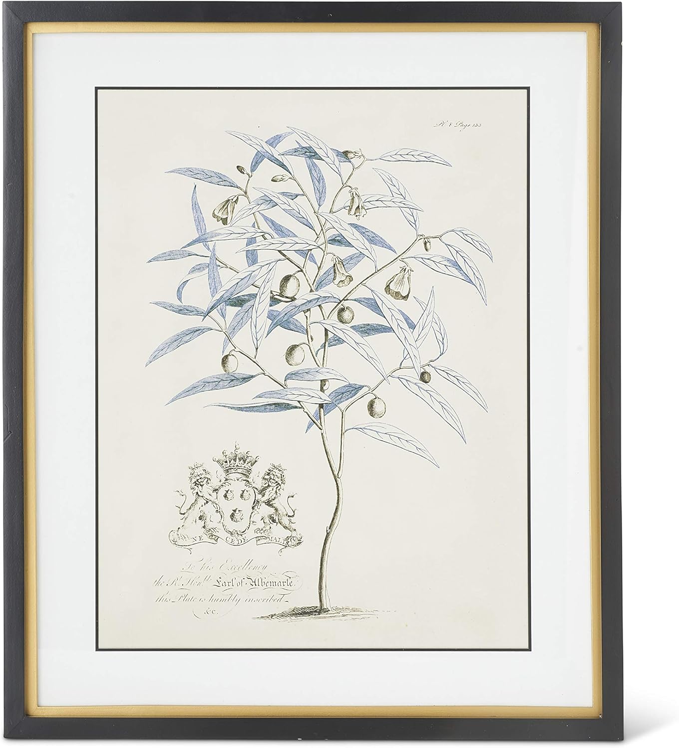 Framed Print - Blue Arbor - 23.75in - Findlay Rowe Designs