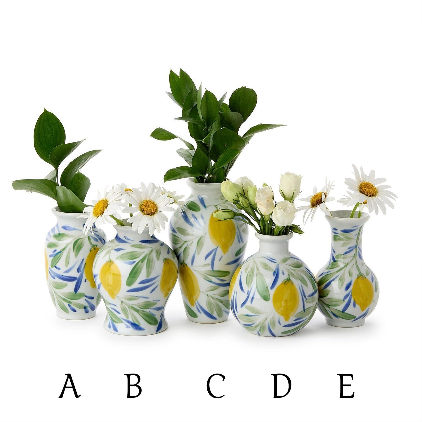 Vase - Lemon Grove - Assorted - Findlay Rowe Designs