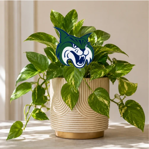Spirit Stakes - Plant Stake - Collegiate