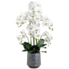 Clearance - Faux Phalaenopsis Orchid Plant in Ceramic Vase - 37in H - Findlay Rowe Designs