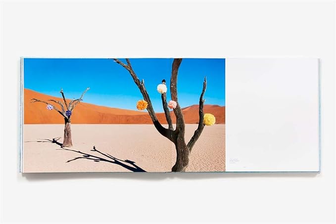 Escape: Photographs - Findlay Rowe Designs