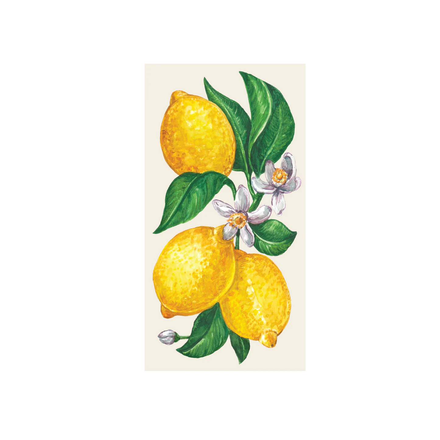 Hester & Cook - Guest Towel Napkins - Lemon - Findlay Rowe Designs