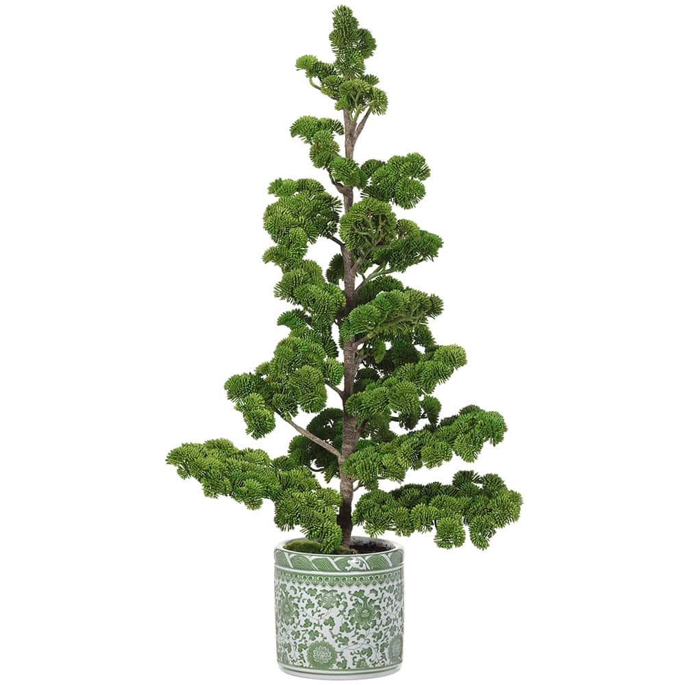 Sedum Pine Tree - Green Ceramic Vase - 15in