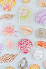 Catherine Cartie - Acrylic Art Block - Sand Dollar - Small - Findlay Rowe Designs
