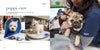 The Dogist Puppies - Findlay Rowe Designs