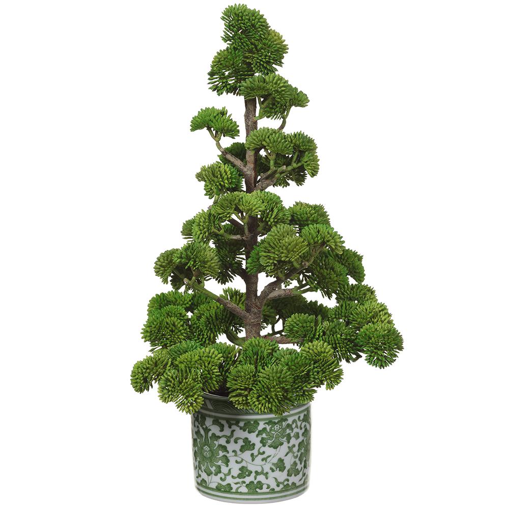 Sedum Pine Tree - Green Ceramic Vase - 15in