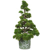 Sedum Pine Tree - Green Ceramic Vase - 15in
