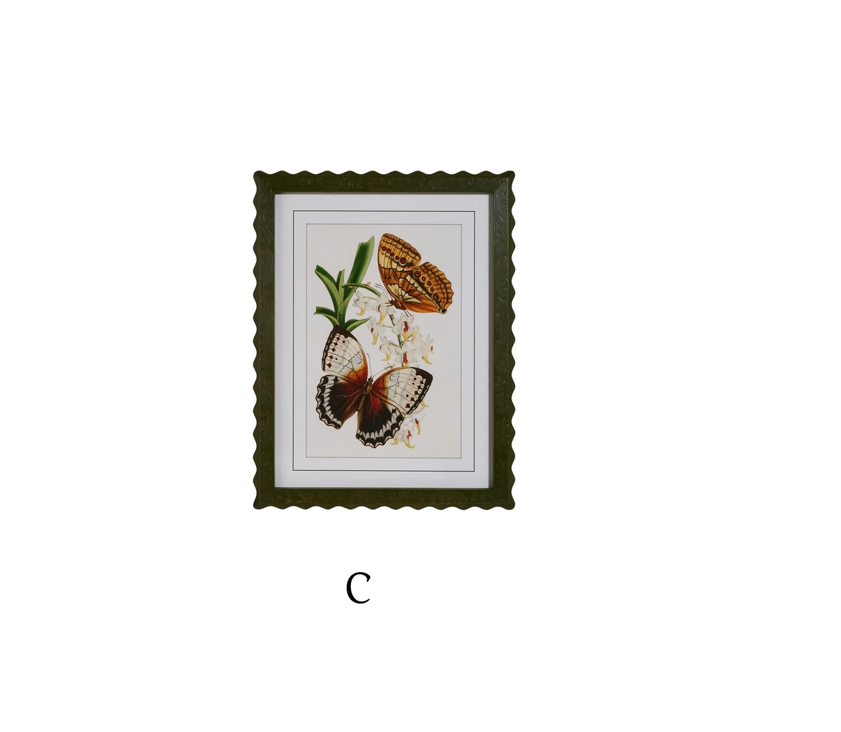 Raz Imports - Framed Art Print - Butterflies - Findlay Rowe Designs