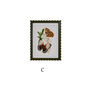 Raz Imports - Framed Art Print - Butterflies - Findlay Rowe Designs
