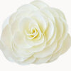 A'Marie's - Large Soap Petal Flower - Gardenia - Findlay Rowe Designs
