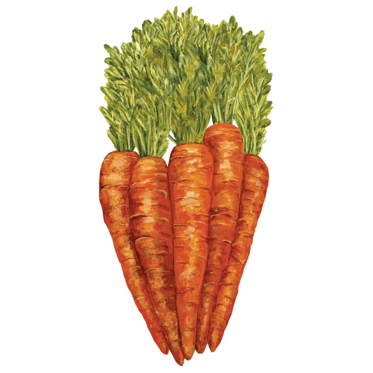 Hester & Cook - Table Accent - Carrots - Findlay Rowe Designs